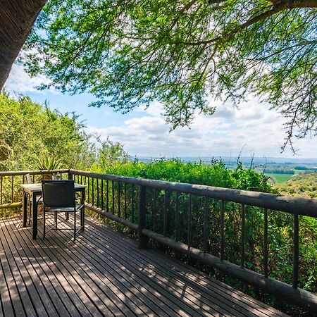 Hitgeheim Country Lodge Addo Kültér fotó