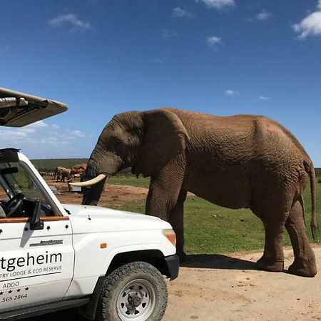 Hitgeheim Country Lodge Addo Kültér fotó