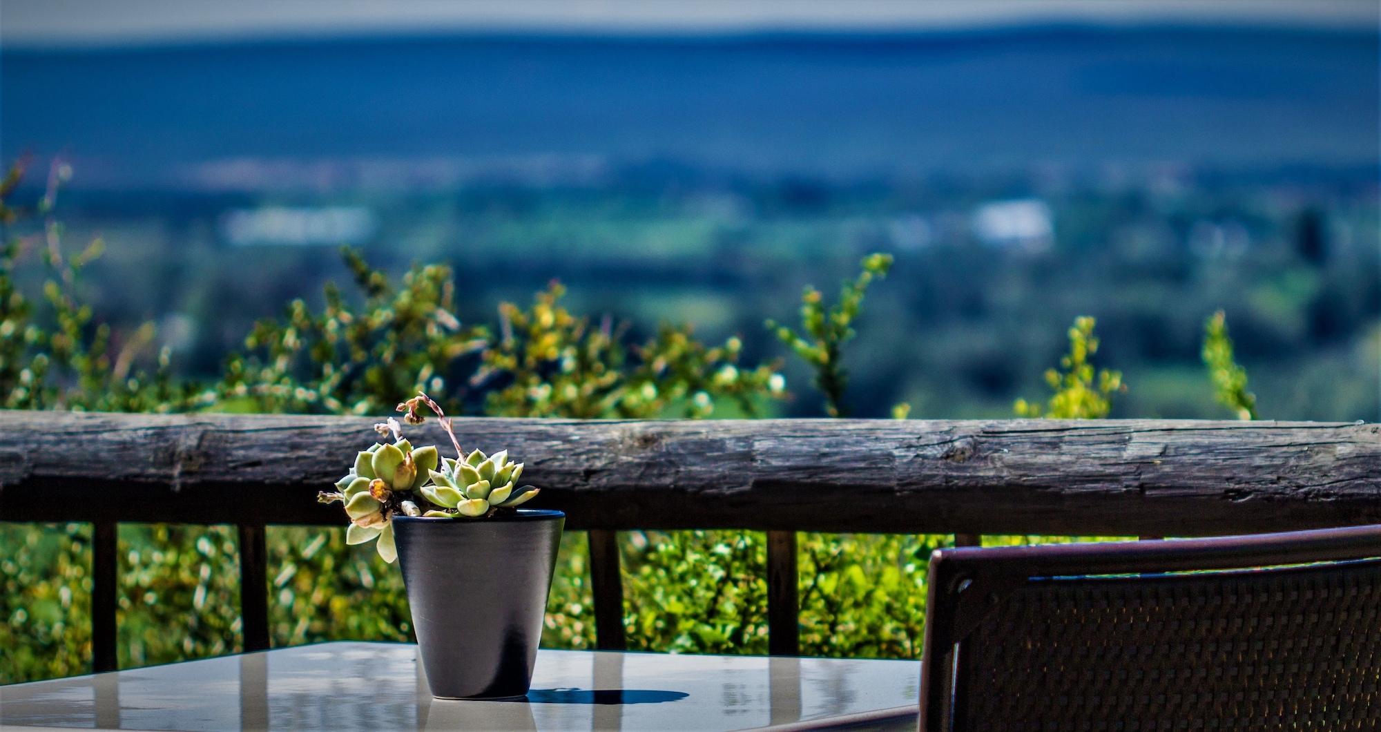 Hitgeheim Country Lodge Addo Kültér fotó